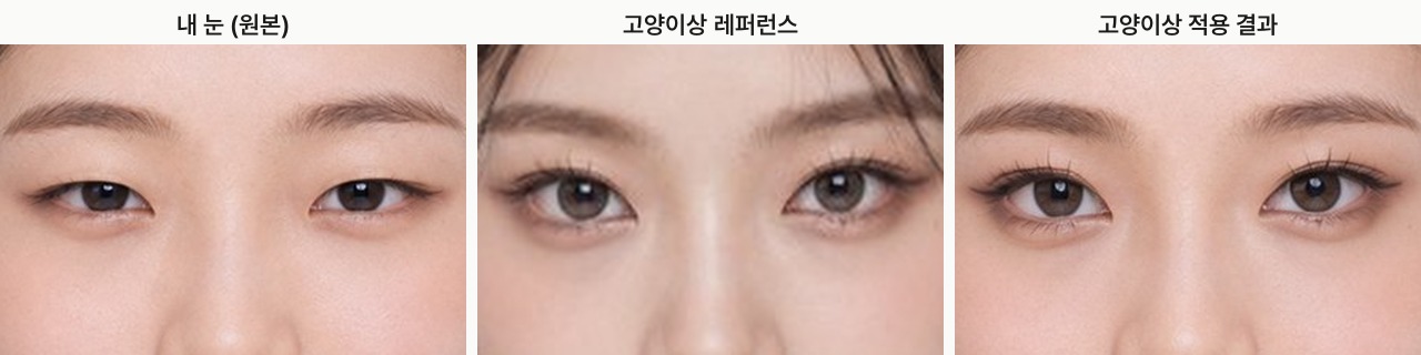 Cat look: original, reference and result compared