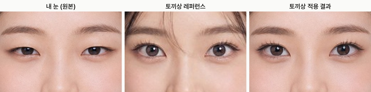 Rabbit look: original, reference and result compared