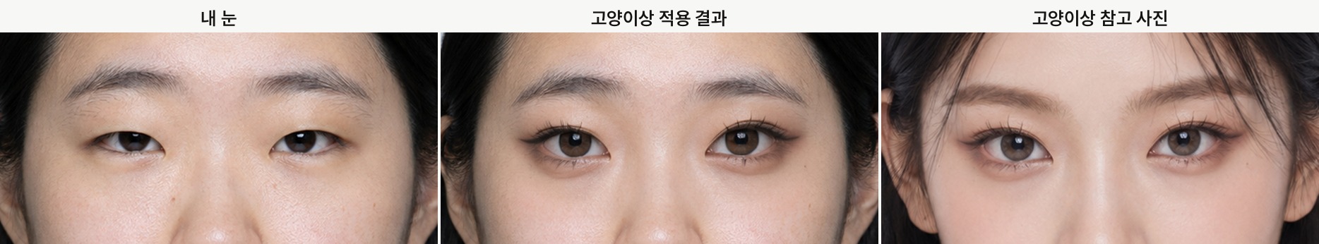 Cat look, my eyes, the applied result, and the reference photo