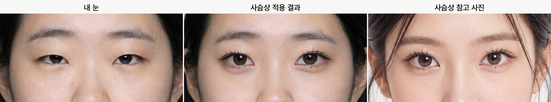 Deer look, my eyes, the applied result, and the reference photo