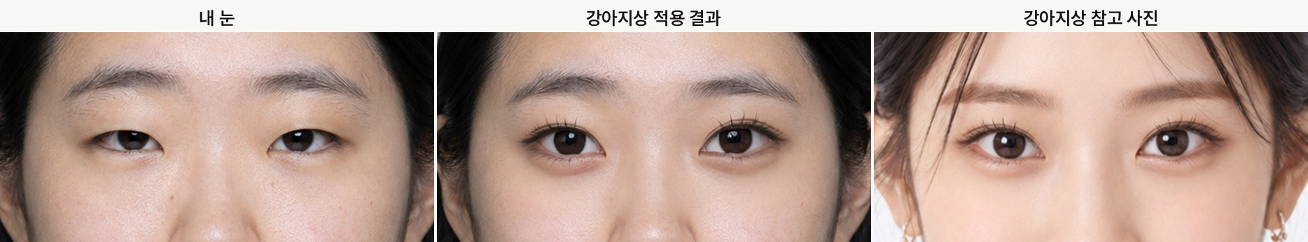 Puppy look, my eyes, the applied result, and the reference photo
